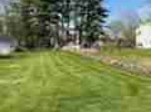 Louie D.'s grass maintenance service result