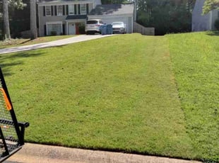 Steven R.'s turf care service result