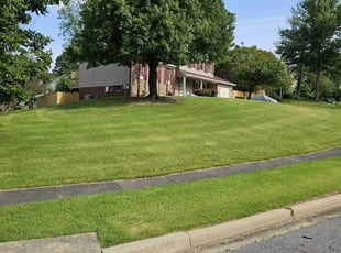 Sue S.'s grass maintenance service result