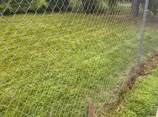 Hannah G.'s lawn care service result