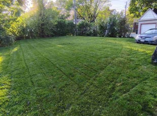 Joshua H.'s lawn care services service result