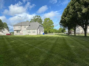 Deborah R.'s grass cutting service result