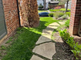 Russ L.'s lawn maintenance service result