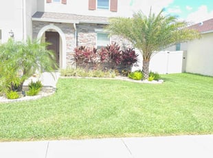 Jeremiah B.'s grass maintenance service result