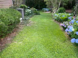 Ruthann O.'s grass maintenance service result