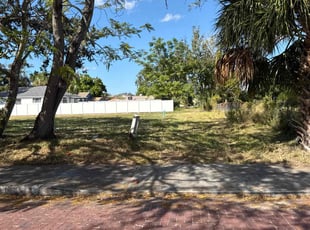 Ted C.'s lawn care services service result