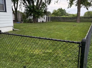 Laurie F.'s grass cutting service result