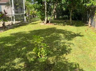 Kristen V.'s grass cutting service result