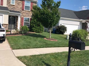 Katie J.'s grass maintenance service result