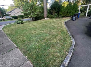 Greg G.'s lawn service service result