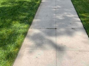 Etta P.'s turf maintenance service result