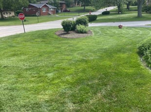Darren S.'s grass maintenance service result