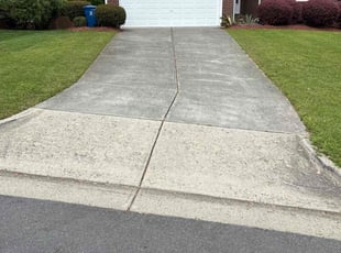 Tracey D.'s lawn maintenance service result