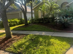 Tyler R.'s Leaf Removal service result