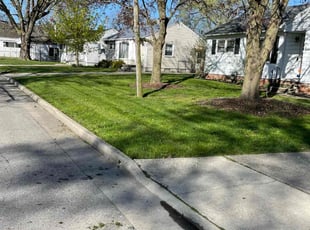 Antoinette D.'s turf care service result