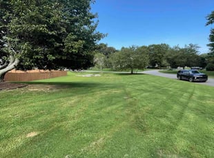 Regina T.'s lawn maintenance service result