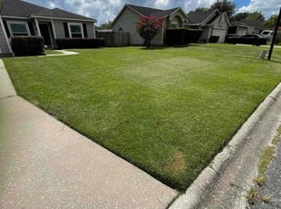 Christine H.'s lawn care service result