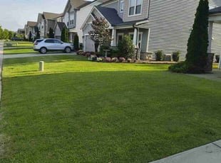Madison C.'s yard maintenance service result