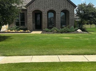 Yiesenia M.'s lawn service service result