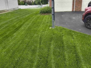 Patty O.'s turf care service result