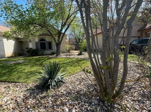 Linda G.'s grass maintenance service result