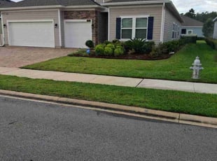 Jason S.'s lawn service service result