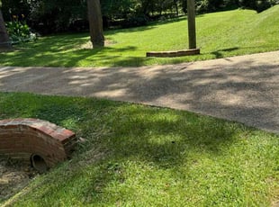 Margaret D.'s lawn care service result