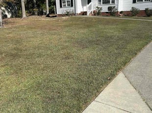 Greg P.'s lawn maintenance service result