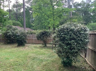 Jim C.'s Bush Trimming service result
