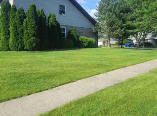 Dan R.'s yard work service result