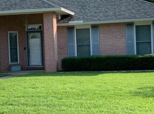 Tiffanie M.'s Bush Trimming service result