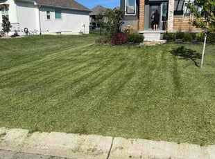 Brian H.'s grass cutting service result
