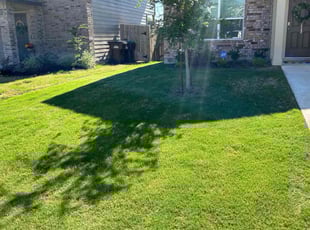 Rahmel M.'s turf maintenance service result