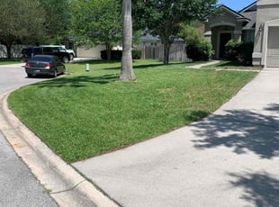 Joann P.'s Cleanups service result