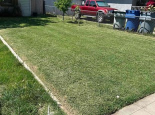 Libby L.'s lawn service service result