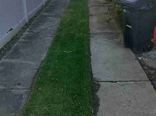 Vincent W.'s grass maintenance service result