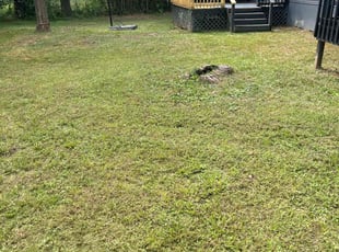 Cindy B.'s lawn service service result