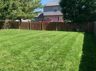 Jenny Z.'s lawn care service result