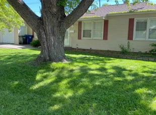 Umbra D.'s lawn service service result
