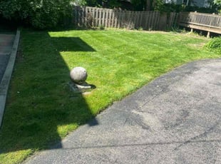 Mike D.'s Long Grass Cleanup service result