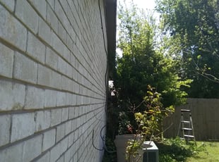 Mary Y.'s Bush Trimming service result