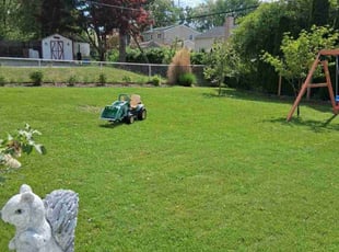 John L.'s turf care service result
