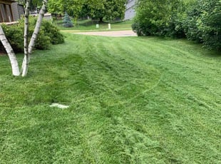 Gail G.'s lawn maintenance service result