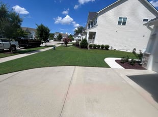 Laverne M.'s turf maintenance service result