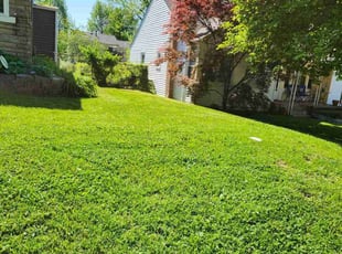 Justin D.'s lawn care services service result