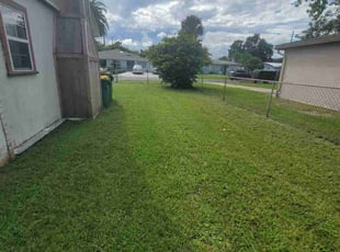 Rob T.'s turf maintenance service result