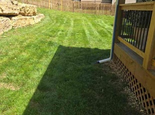 Paul L.'s lawn care service result