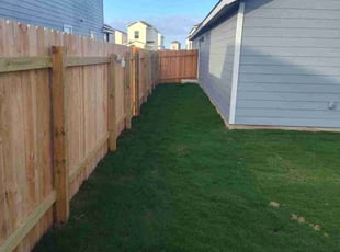 Wilma H.'s grass maintenance service result