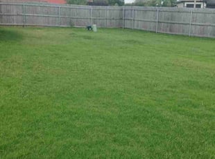 Lexi W.'s grass maintenance service result