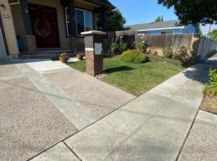 Kurtis S.'s grass cutting service result